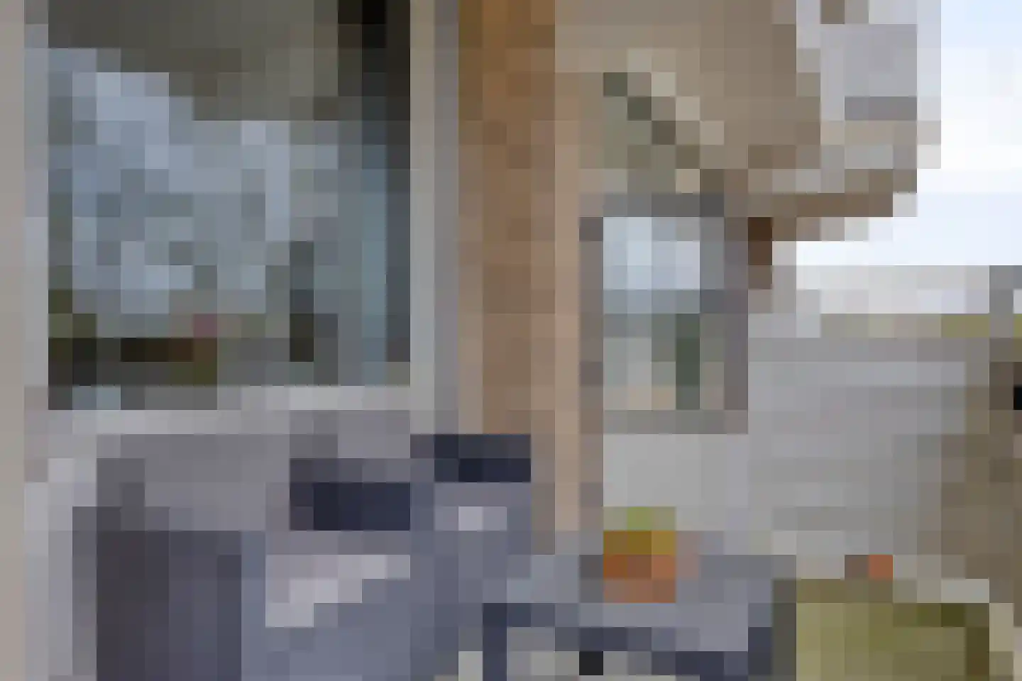 Alexanderstraat 105 Zoetermeer thumbnail 24