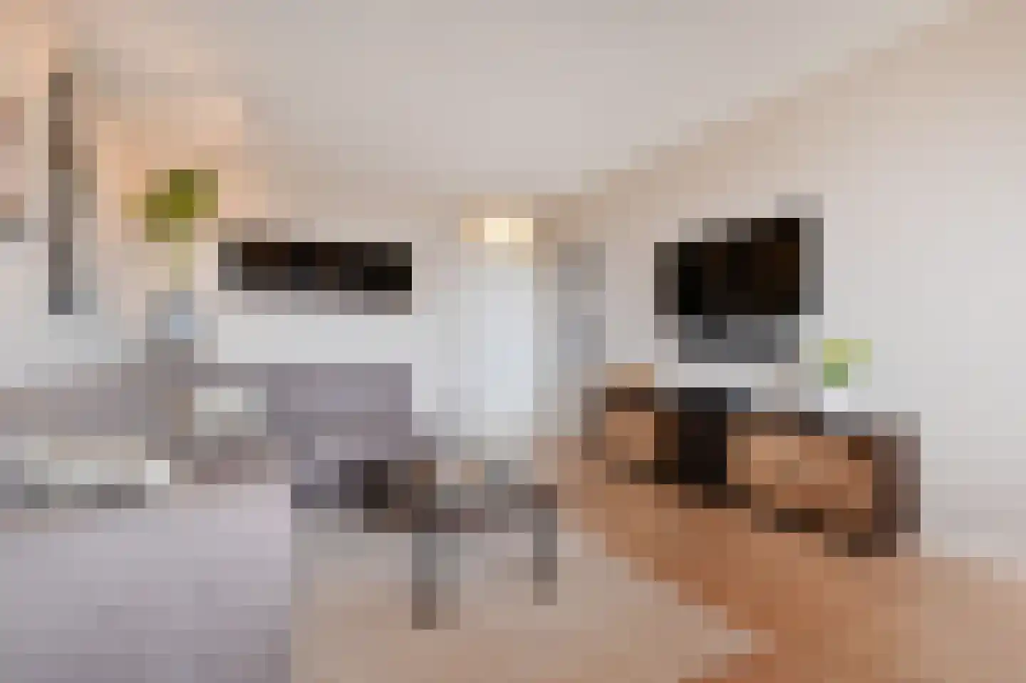Alexanderstraat 107 Zoetermeer thumbnail 16
