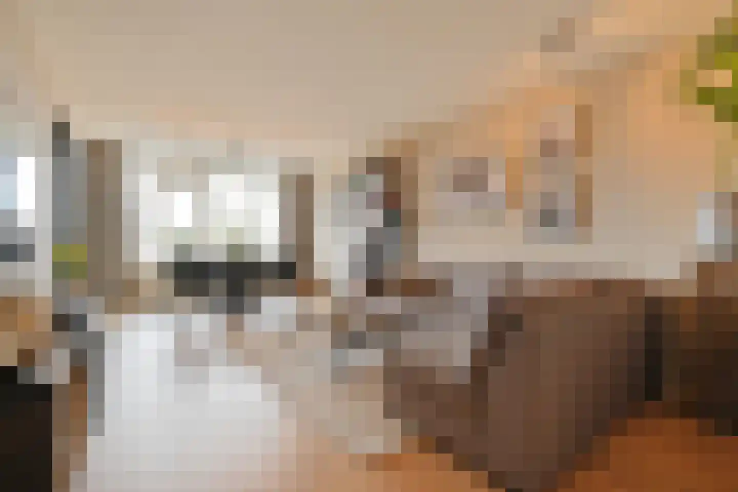 Alexanderstraat 107 Zoetermeer thumbnail 17