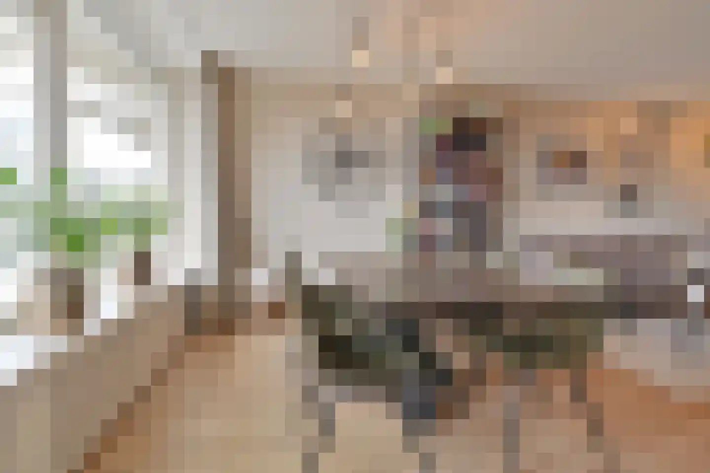 Alexanderstraat 107 Zoetermeer thumbnail 19