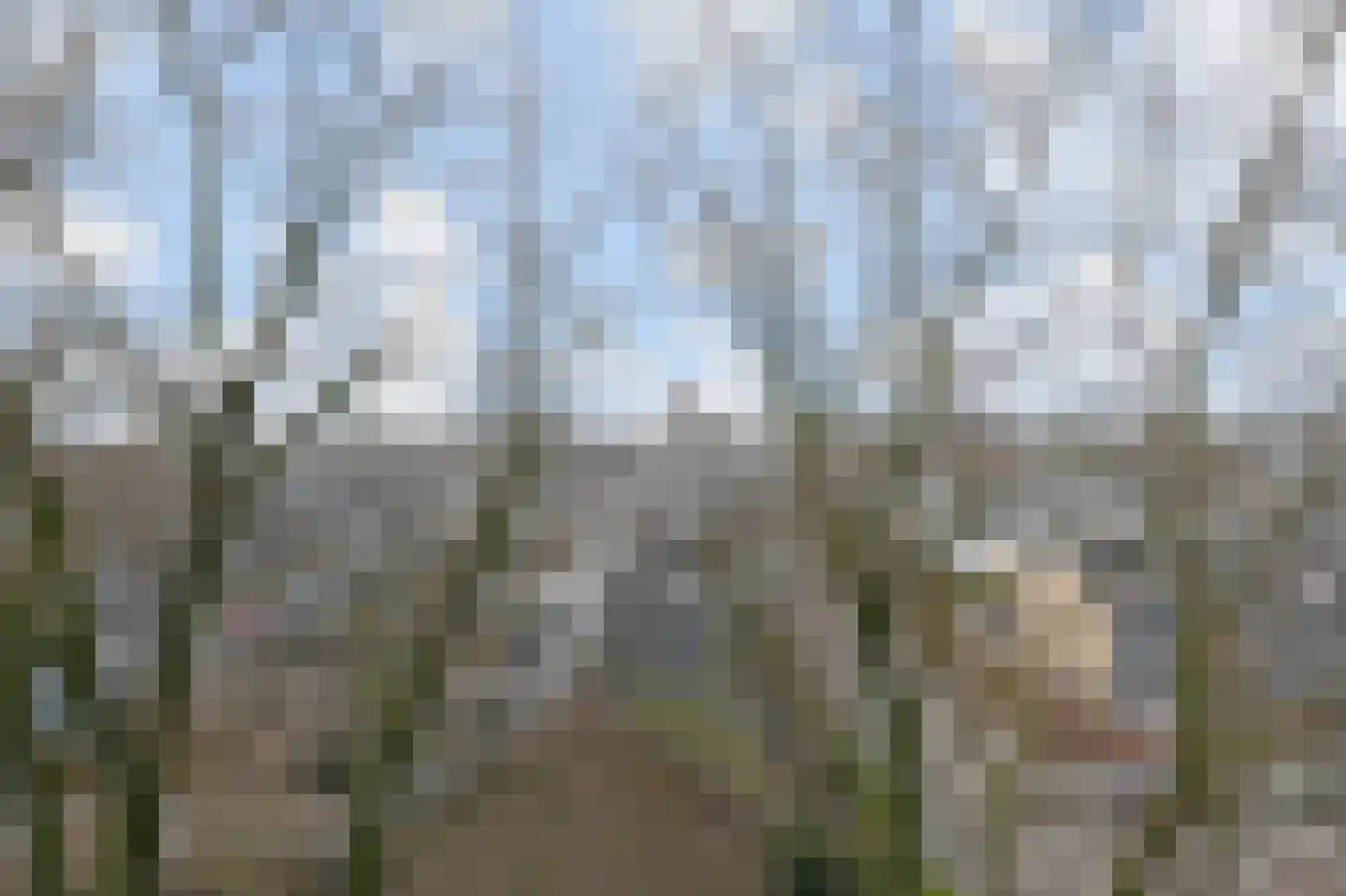 Alexanderstraat 107 Zoetermeer thumbnail 27