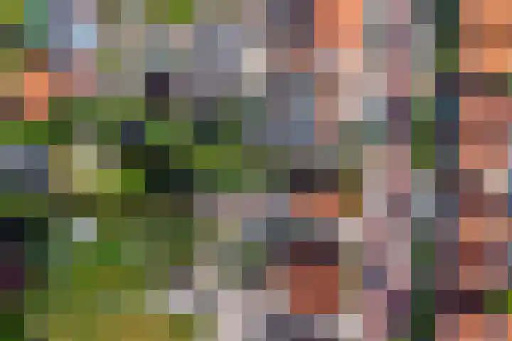 Alexanderstraat 11 Kapelle thumbnail 38