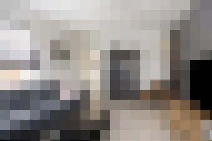 Alexanderstraat 11 Velp thumbnail 11