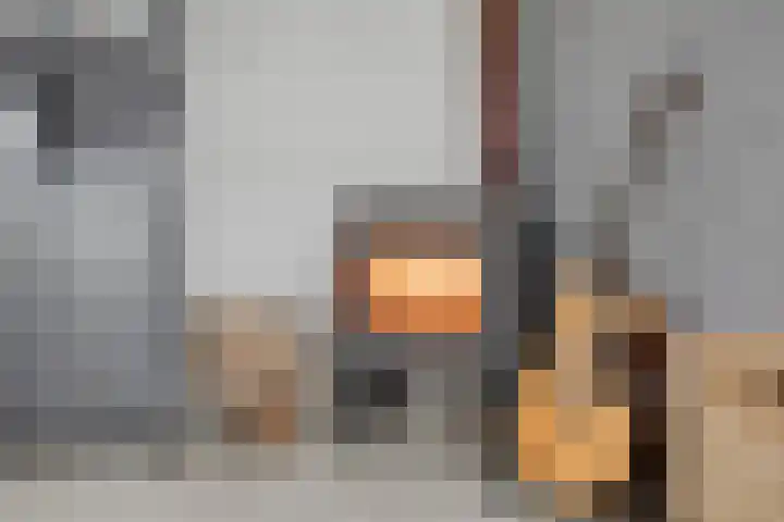 Alexanderstraat 11 Velp thumbnail 12