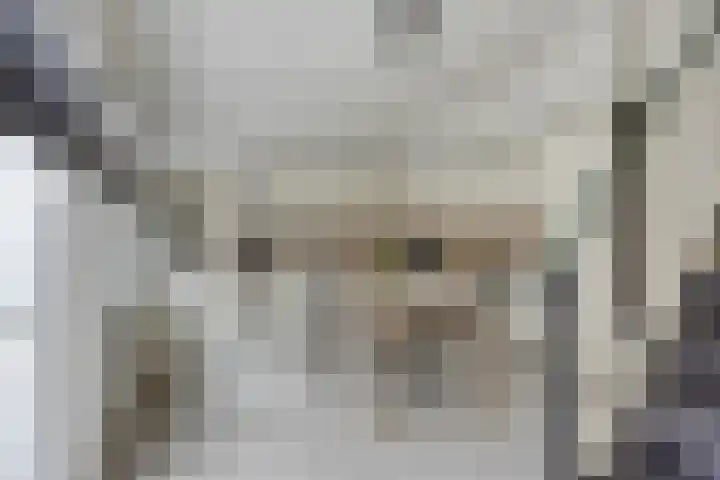 Alexanderstraat 11 Velp thumbnail 13