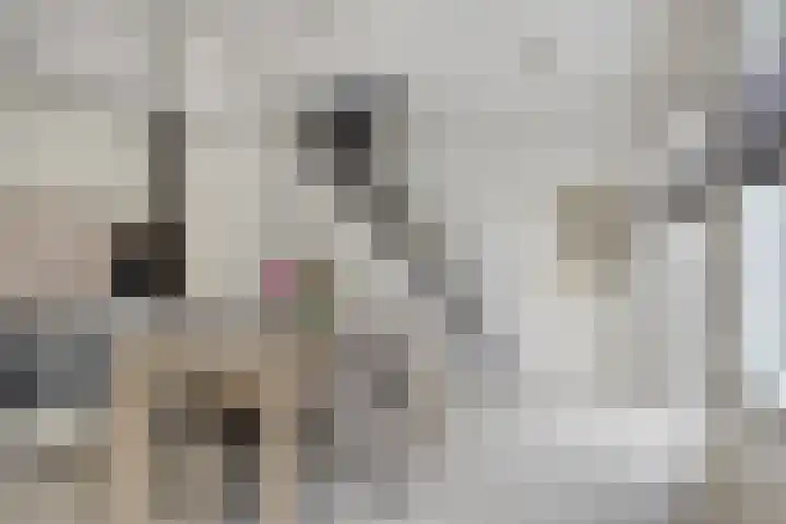 Alexanderstraat 11 Velp thumbnail 15
