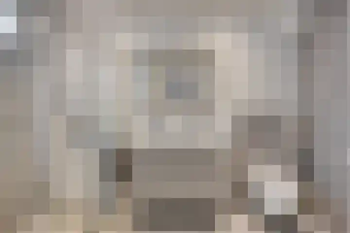 Alexanderstraat 11 Velp thumbnail 18