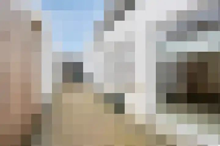Alexanderstraat 11 Velp thumbnail 29