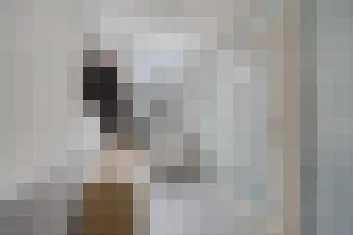 Alexanderstraat 11 Velp thumbnail 8
