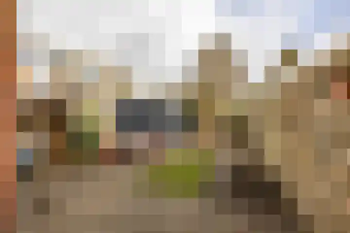 Alexanderstraat 12 Groningen thumbnail 34