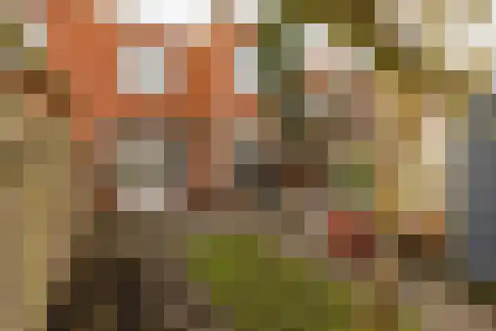 Alexanderstraat 12 Groningen thumbnail 36