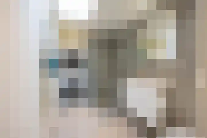 Alexanderstraat 12 Groningen thumbnail 4