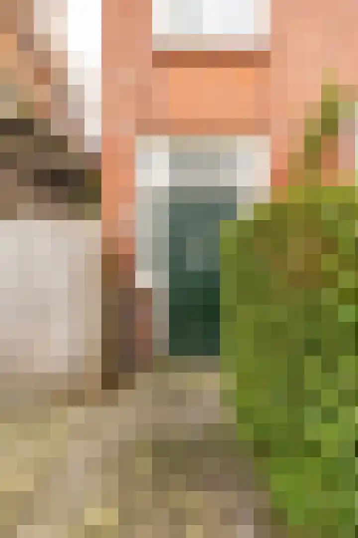 Alexanderstraat 12 Groningen thumbnail 6