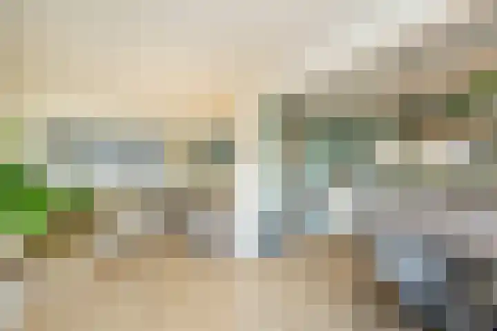 Alexanderstraat 12 Spaubeek thumbnail 14