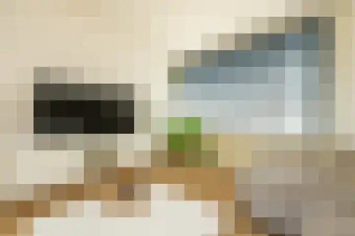 Alexanderstraat 12 Spaubeek thumbnail 18