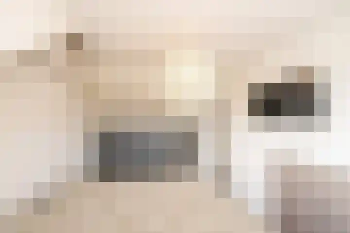 Alexanderstraat 12 Spaubeek thumbnail 25