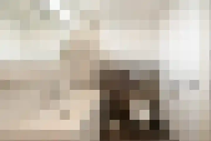 Alexanderstraat 12 Spaubeek thumbnail 31