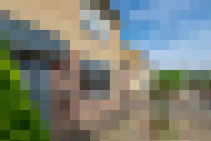 Alexanderstraat 12 Spaubeek thumbnail 6