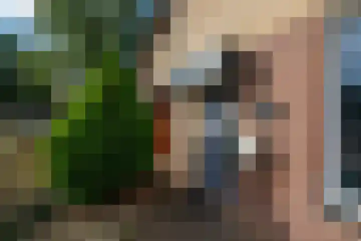 Alexanderstraat 12 Spaubeek thumbnail 7