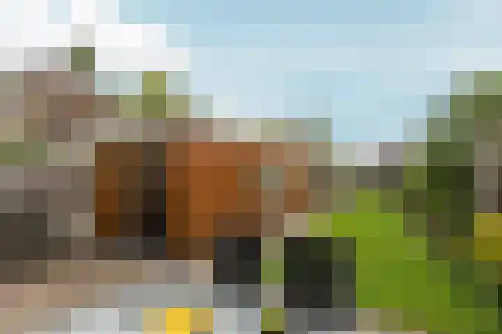 Alexanderstraat 126 Arnhem thumbnail 31
