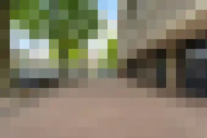 Alexanderstraat 127 Zoetermeer thumbnail 7