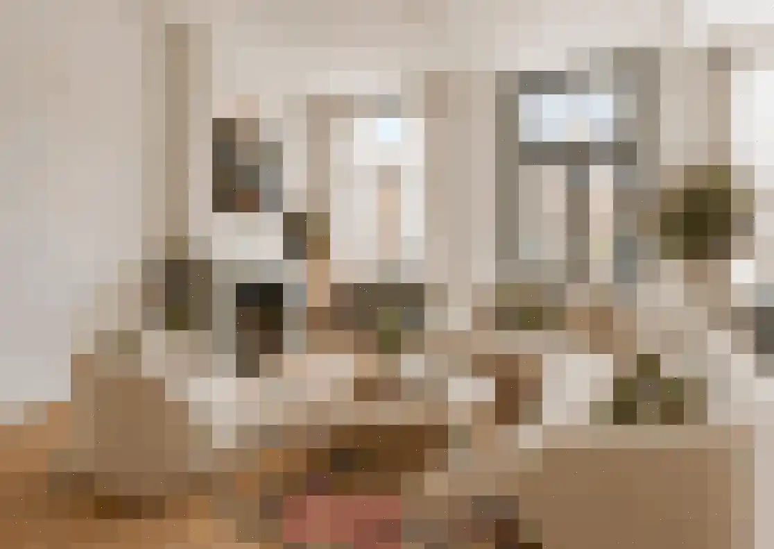 Alexanderstraat 128 Arnhem thumbnail 4