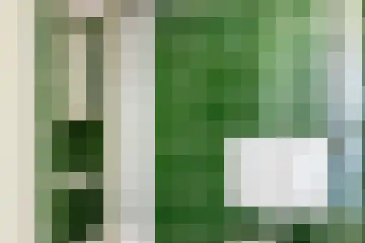 Alexanderstraat 129 Zoetermeer thumbnail 16