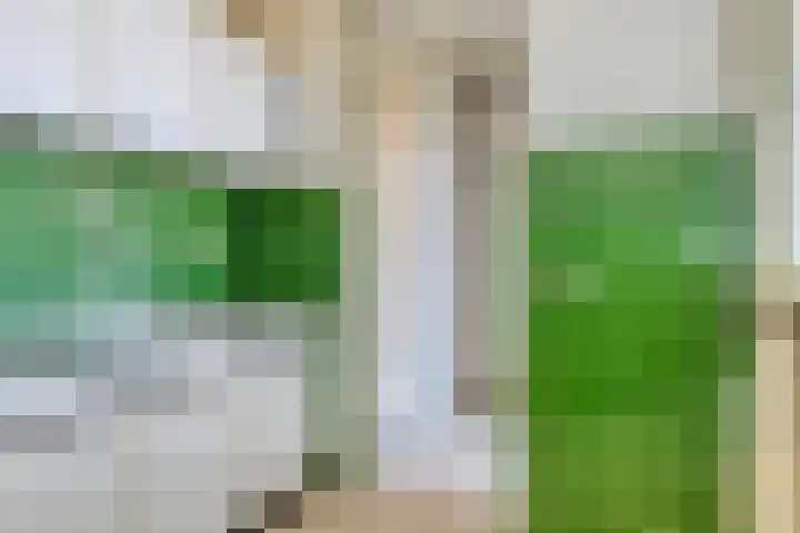 Alexanderstraat 129 Zoetermeer thumbnail 19