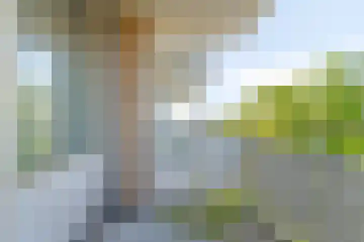 Alexanderstraat 129 Zoetermeer thumbnail 21