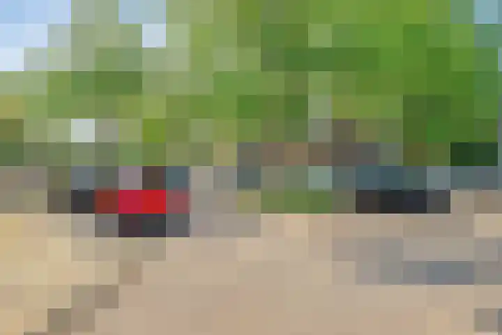 Alexanderstraat 129 Zoetermeer thumbnail 31