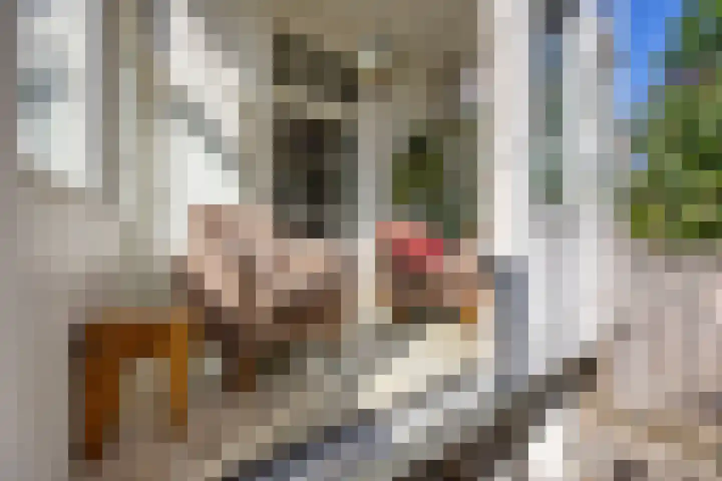 Alexanderstraat 132 A Arnhem thumbnail 33