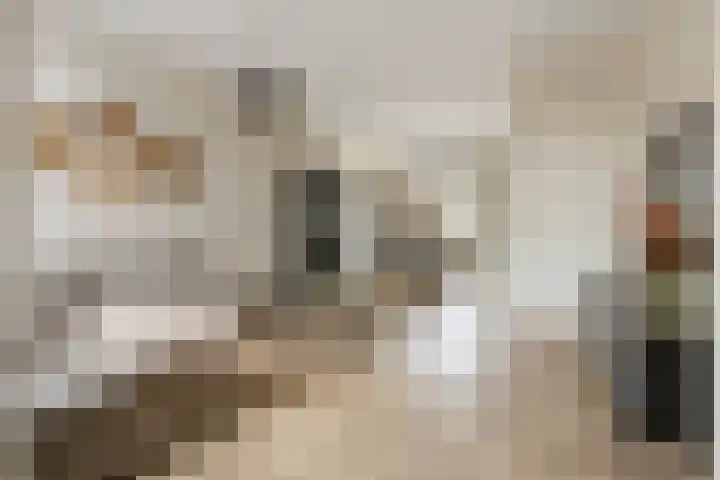 Alexanderstraat 15 Capelle aan den IJssel thumbnail 10