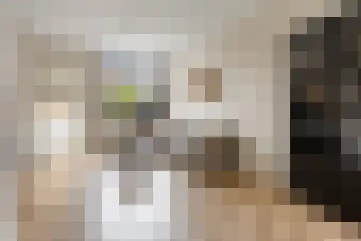 Alexanderstraat 15 Capelle aan den IJssel thumbnail 11