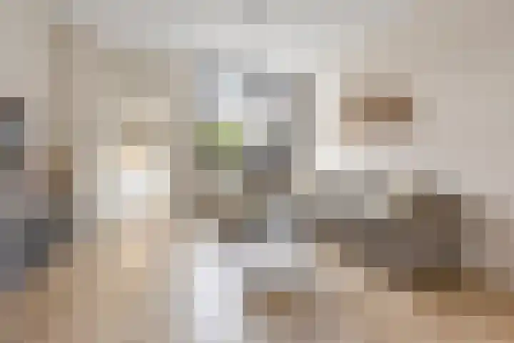 Alexanderstraat 15 Capelle aan den IJssel thumbnail 12