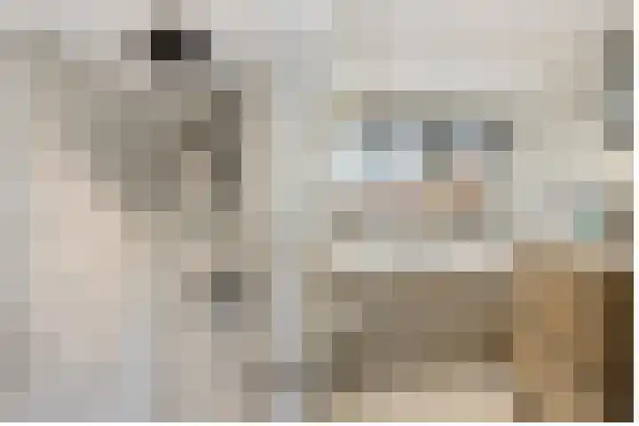 Alexanderstraat 15 Capelle aan den IJssel thumbnail 18