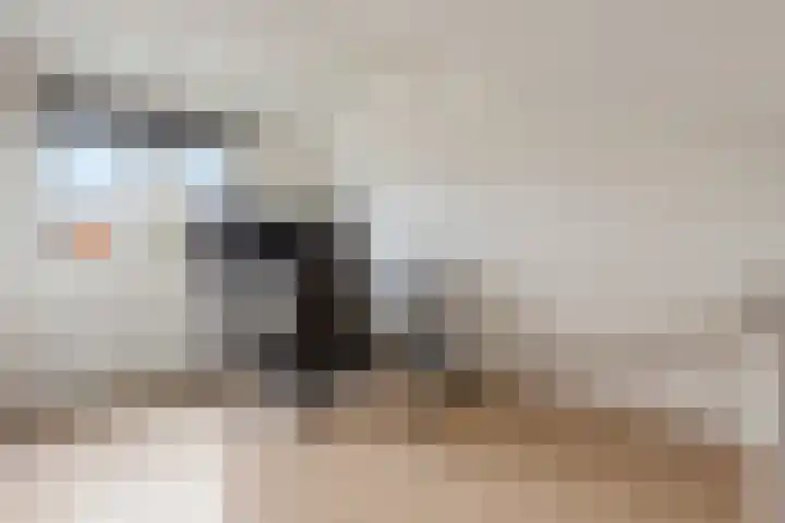 Alexanderstraat 15 Capelle aan den IJssel thumbnail 19