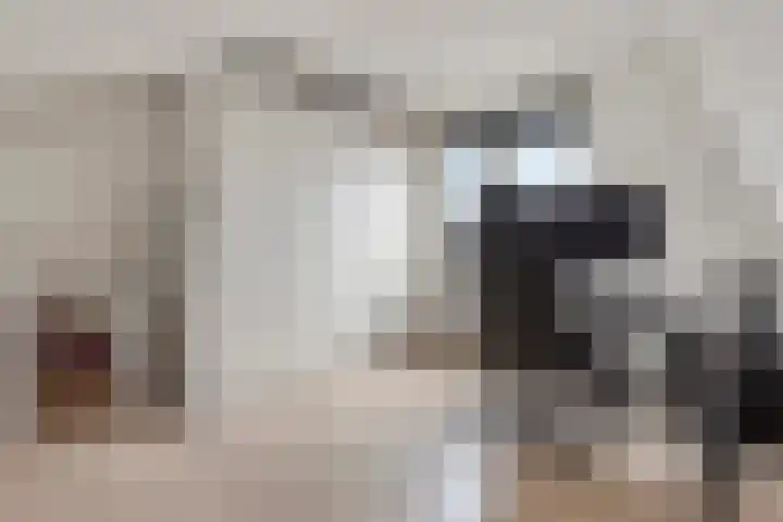 Alexanderstraat 15 Capelle aan den IJssel thumbnail 20