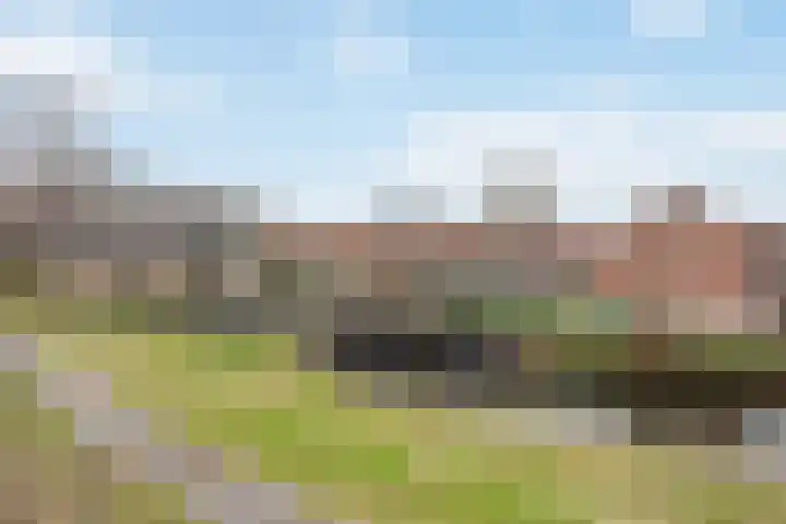 Alexanderstraat 15 Capelle aan den IJssel thumbnail 30