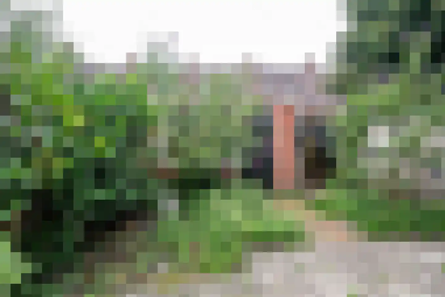 Alexanderstraat 15 Groningen thumbnail 36