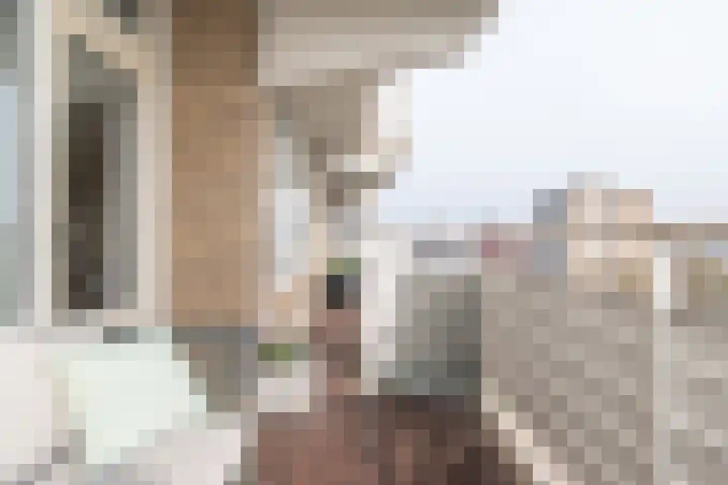Alexanderstraat 157 Zoetermeer thumbnail 23