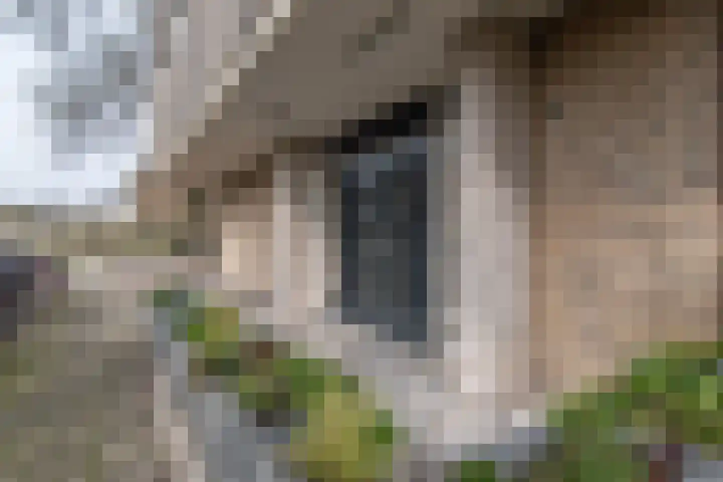 Alexanderstraat 157 Zoetermeer thumbnail 32