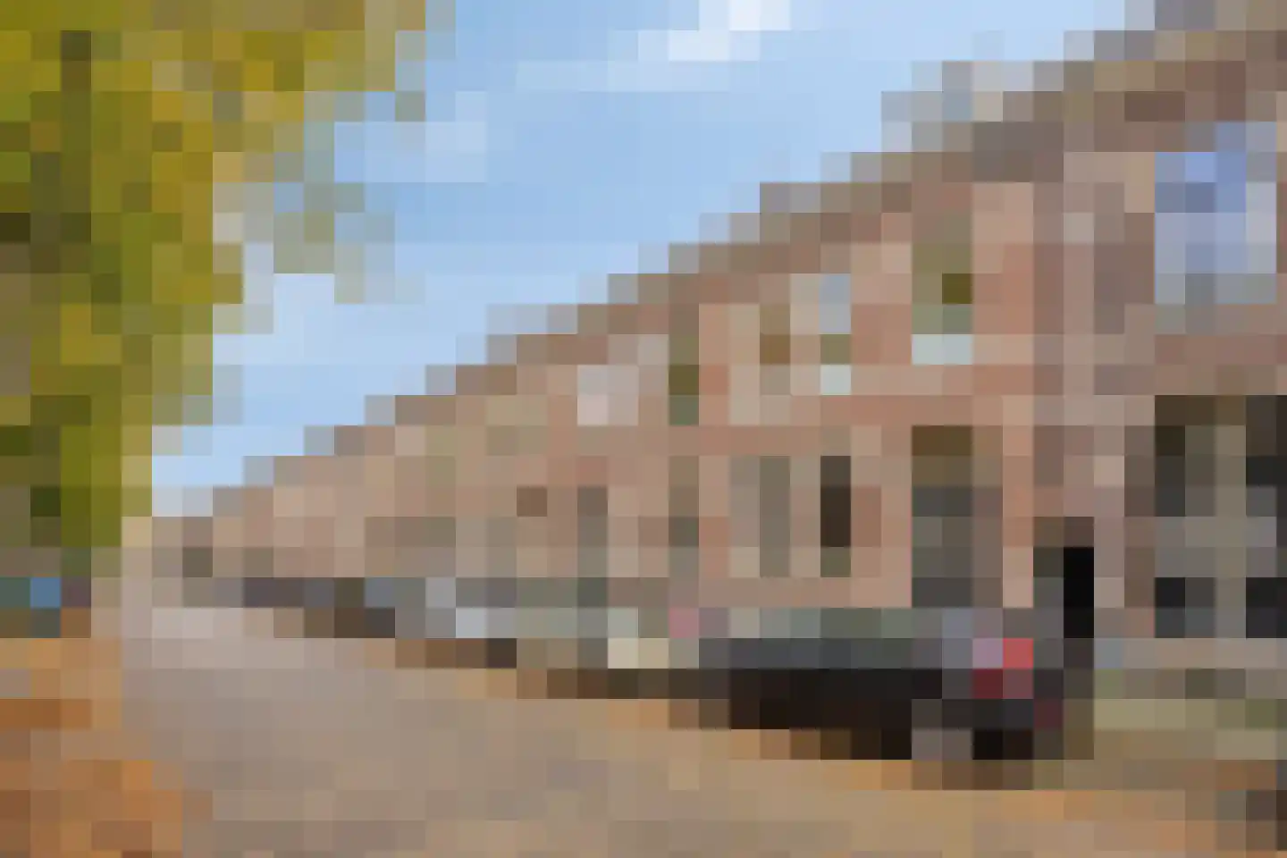 Alexanderstraat 158 Arnhem thumbnail 5