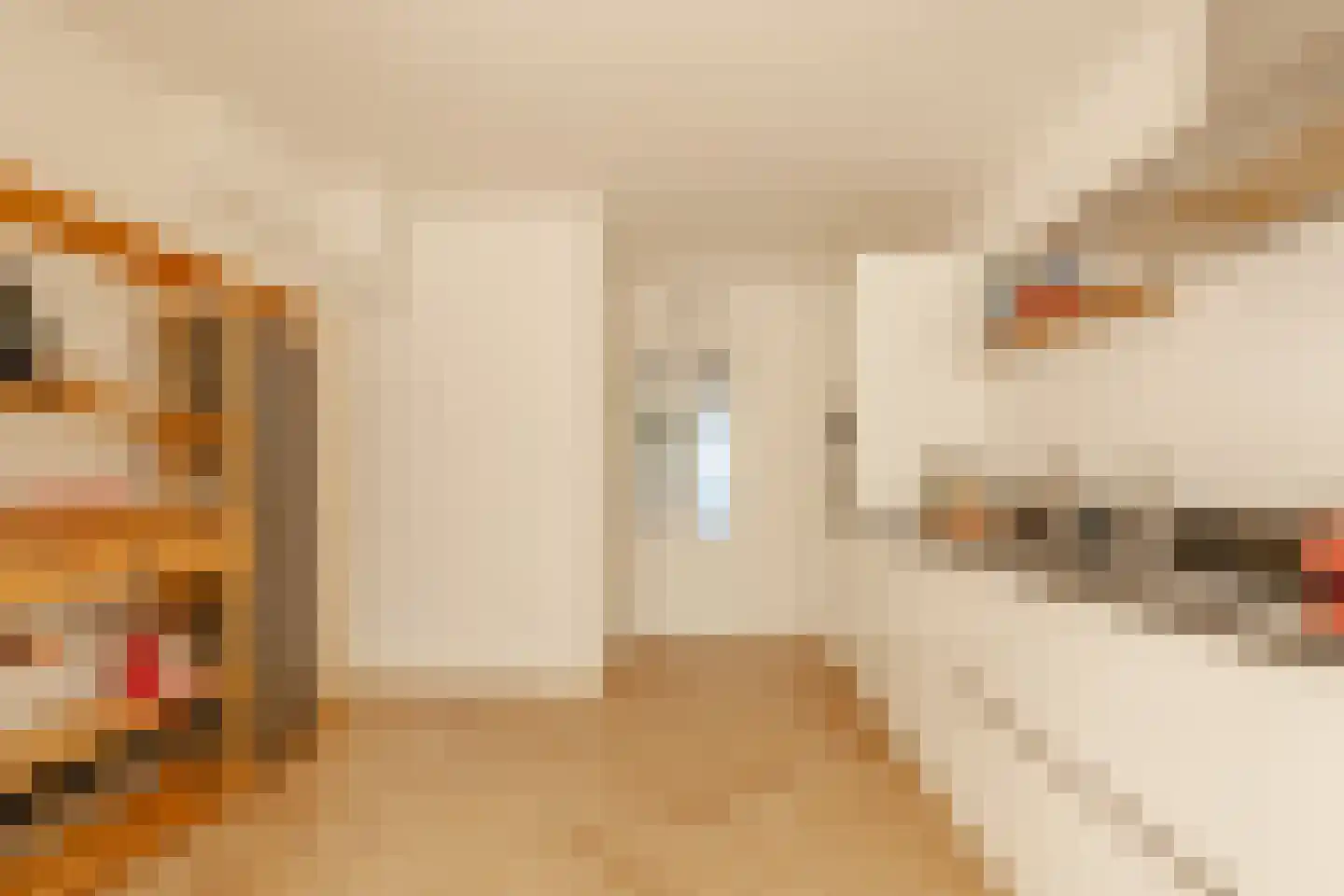 Alexanderstraat 18 Amsterdam thumbnail 10