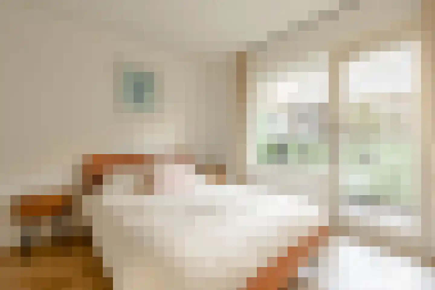 Alexanderstraat 18 Amsterdam thumbnail 11