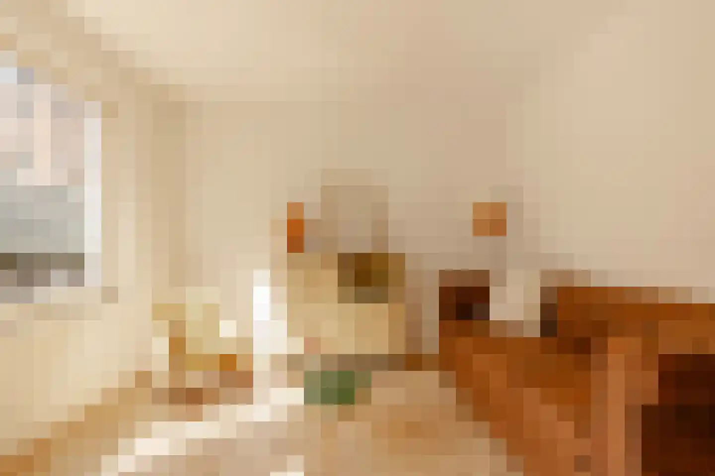 Alexanderstraat 18 Amsterdam thumbnail 5