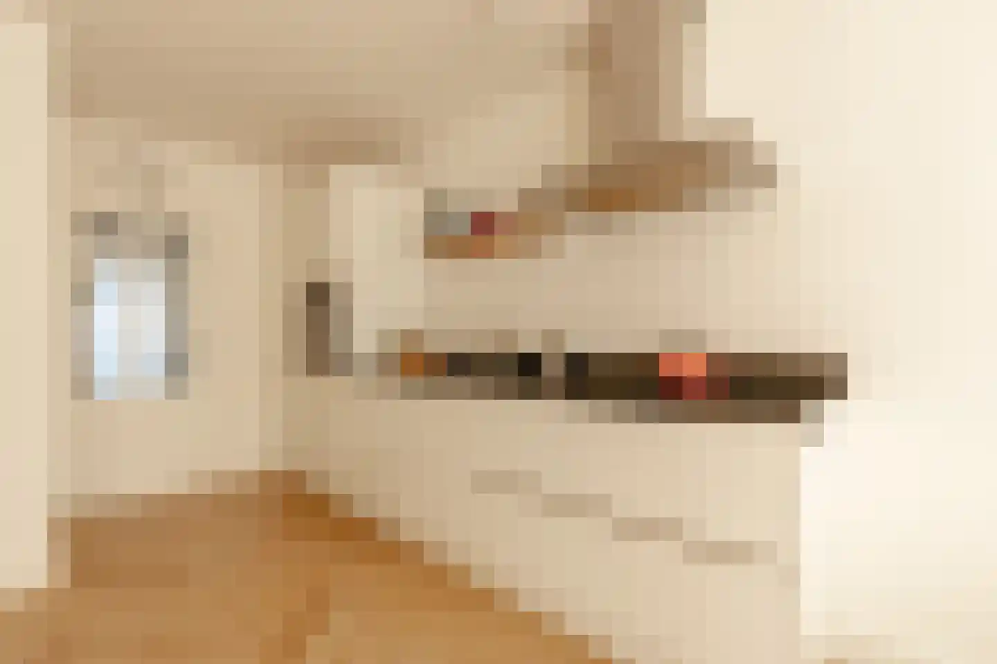 Alexanderstraat 18 Amsterdam thumbnail 8