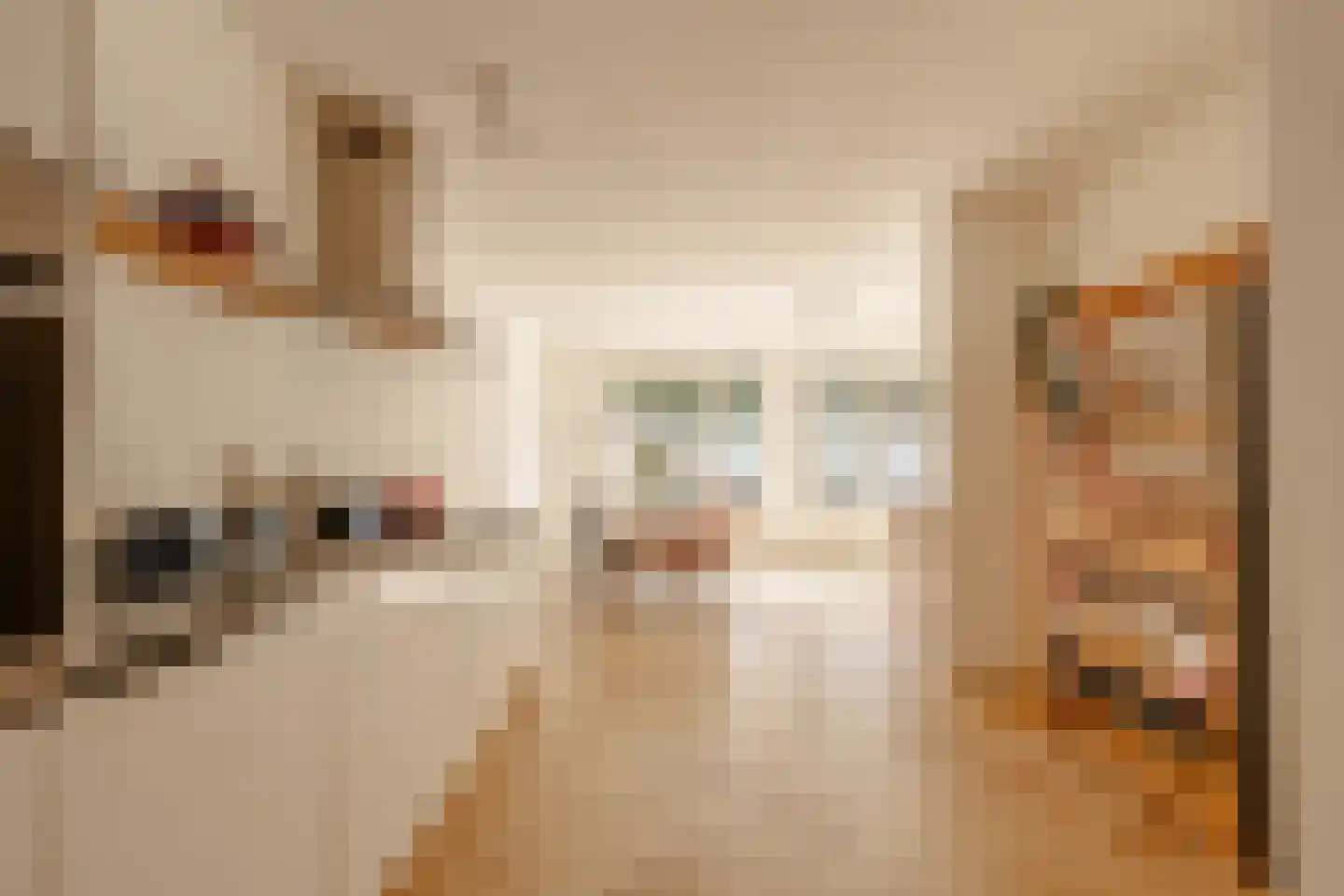 Alexanderstraat 18 Amsterdam thumbnail 9
