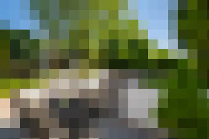 Alexanderstraat 19 Spaubeek thumbnail 25