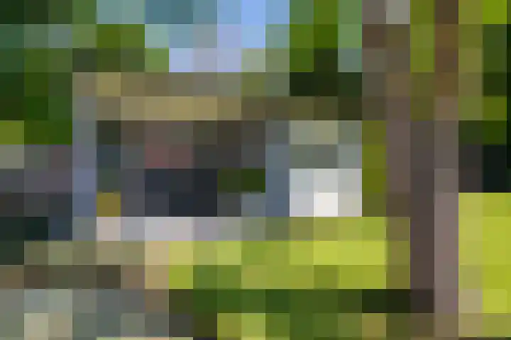 Alexanderstraat 19 Spaubeek thumbnail 27