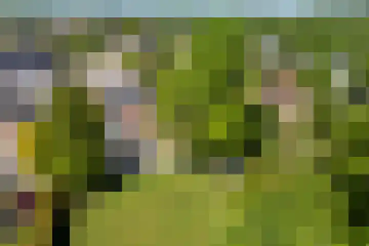 Alexanderstraat 19 Spaubeek thumbnail 31